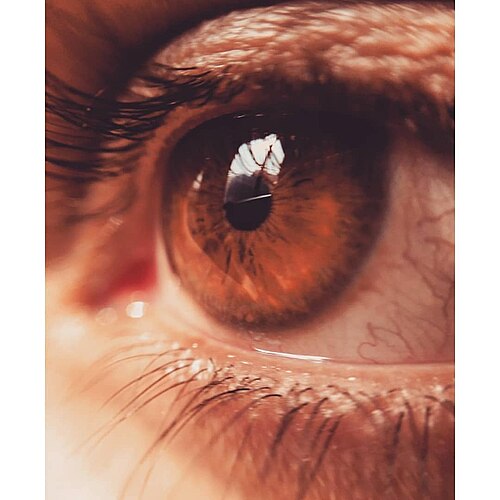 Close-up of a healthy human eye