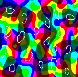Map showing ocular dominance, orientation, and cytochrome oxidase columns in the primary visual cortex