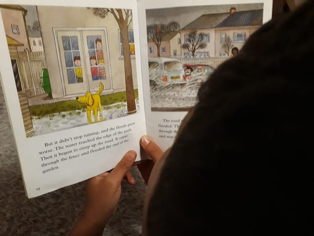 Child reading a picture book