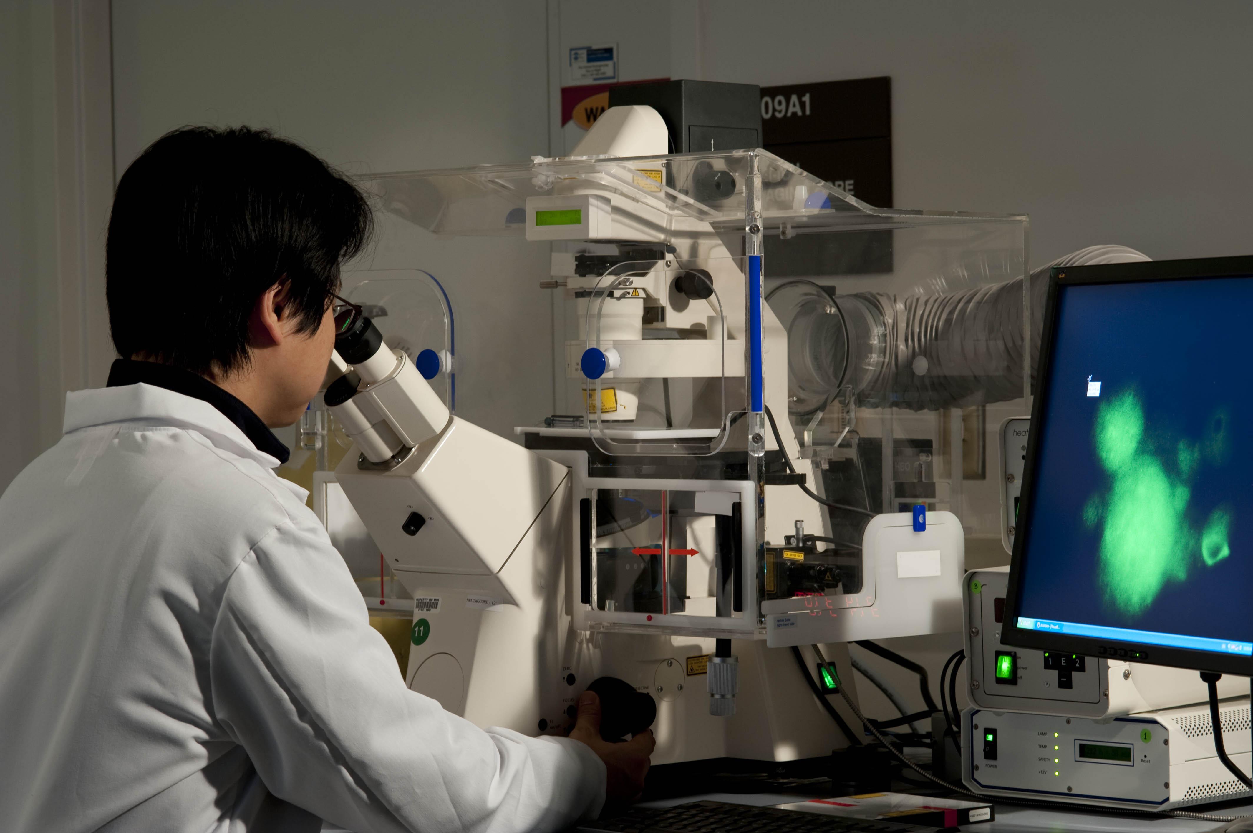 Scientist using a microscope in a vision research lab