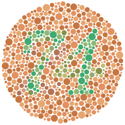Ishihara test plate showing the number 74 made of green dots on an orange-brown background.