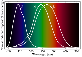 Graph showing S, M and L cone sensitivity curves across the visible spectrum.