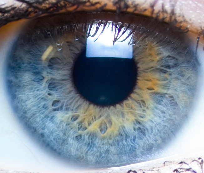 Close-up photograph of a human iris and pupil