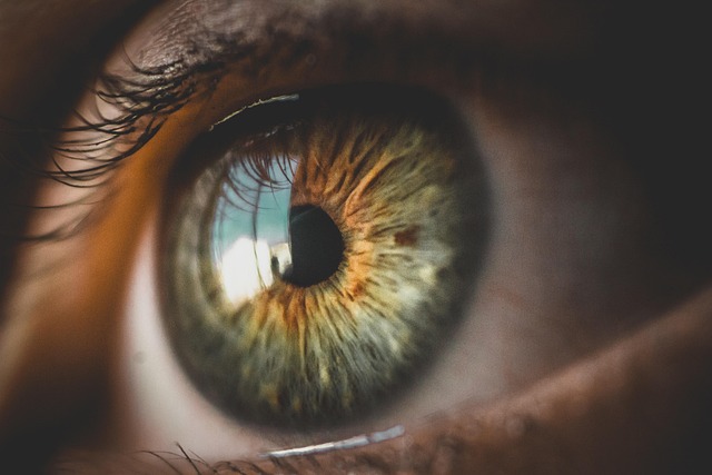Extreme close-up photo of a hazel iris