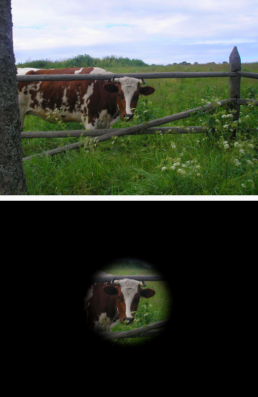Simulation of tunnel vision showing only a small central circular field of view