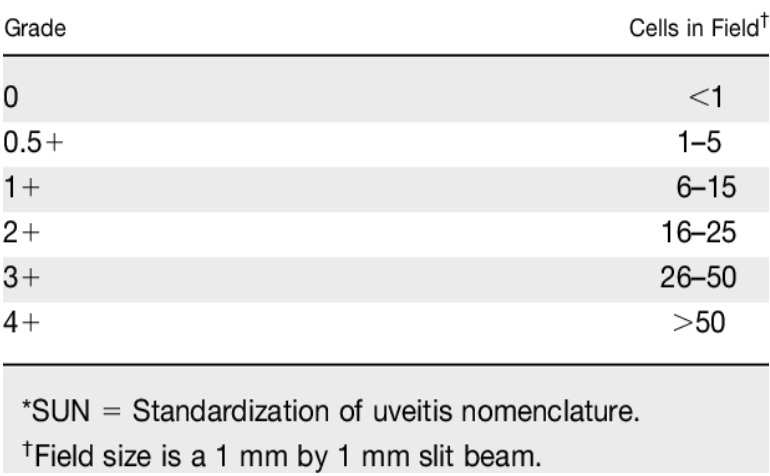 Table summarizing SUN Working Group grading for anterior-chamber cells in uveitis.