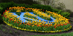 University of Kansas School of Medicine