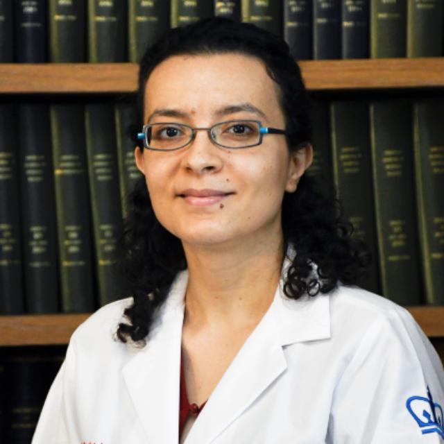 Dr. Aliaa Abdelhakim Hamed